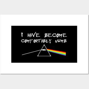 I Have Become Comfortably Numbk Floyd Posters and Art